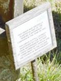 image of grave number 718929